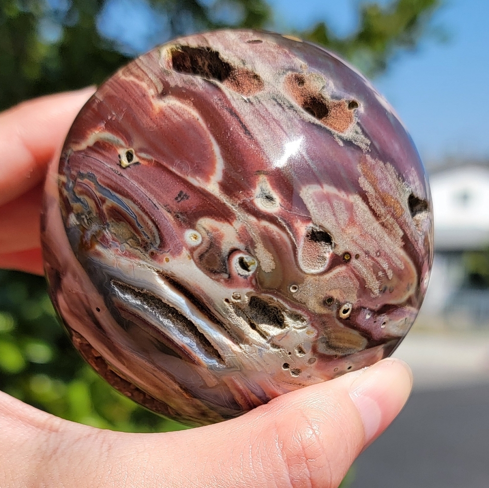 NEW 73.8MM AGATIZED PETRIFIED WOOD SPHERE